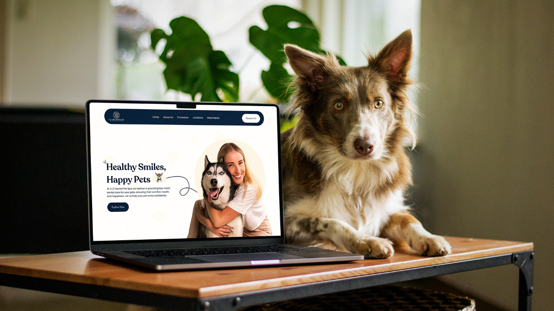 Pet Spa Website Design