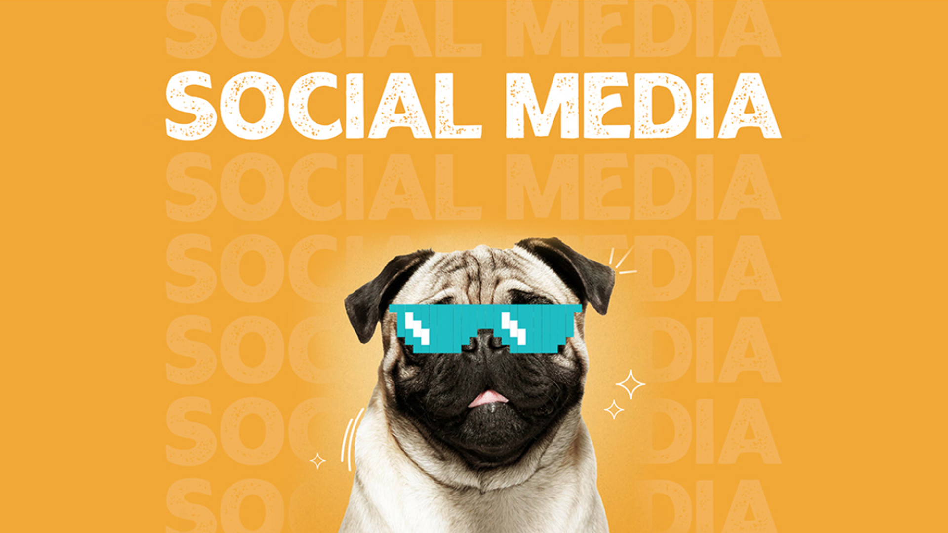 Pet Store Social Media